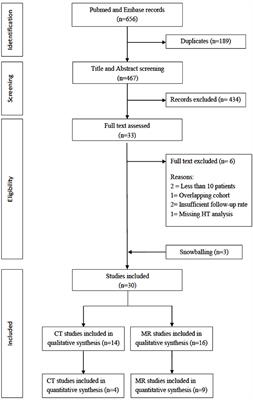 Blood–Brain Barrier Disruption and Hemorrhagic Transformation in Acute Ischemic Stroke: Systematic Review and Meta-Analysis